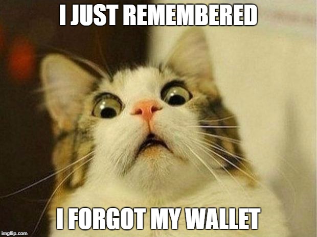 Scared Cat Meme | I JUST REMEMBERED; I FORGOT MY WALLET | image tagged in memes,scared cat | made w/ Imgflip meme maker