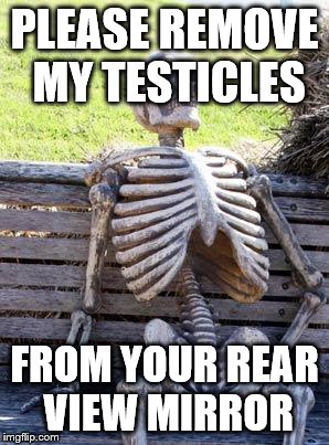 PLEASE REMOVE MY TESTICLES FROM YOUR REAR VIEW MIRROR | image tagged in memes,waiting skeleton | made w/ Imgflip meme maker