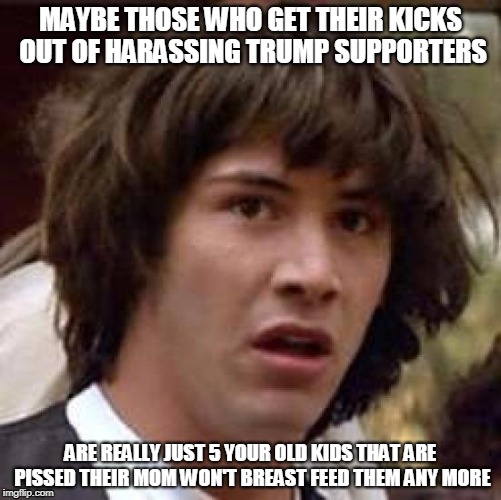 Conspiracy Keanu Meme | MAYBE THOSE WHO GET THEIR KICKS OUT OF HARASSING TRUMP SUPPORTERS; ARE REALLY JUST 5 YOUR OLD KIDS THAT ARE PISSED THEIR MOM WON'T BREAST FEED THEM ANY MORE | image tagged in memes,conspiracy keanu | made w/ Imgflip meme maker