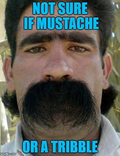 Someone needs to get this guy some Wahl clippers for his birthday! | NOT SURE IF MUSTACHE; OR A TRIBBLE | image tagged in mustache or tribble,memes,funny haircut,mustache,funny,unibrow | made w/ Imgflip meme maker