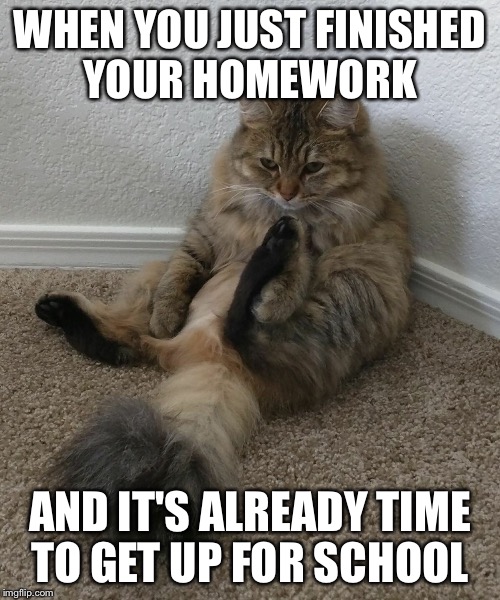WHEN YOU JUST FINISHED YOUR HOMEWORK; AND IT'S ALREADY TIME TO GET UP FOR SCHOOL | image tagged in school | made w/ Imgflip meme maker