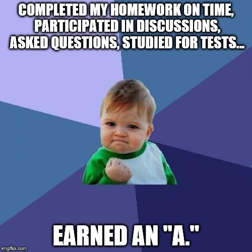 Success Kid Meme | COMPLETED MY HOMEWORK ON TIME, PARTICIPATED IN DISCUSSIONS, ASKED QUESTIONS, STUDIED FOR TESTS... EARNED AN "A." | image tagged in memes,success kid | made w/ Imgflip meme maker