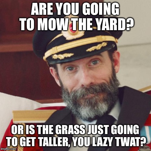 Insulting Captian Obvious | ARE YOU GOING TO MOW THE YARD? OR IS THE GRASS JUST GOING TO GET TALLER, YOU LAZY TWAT? | image tagged in insulting captain obvious,memes,funny memes | made w/ Imgflip meme maker