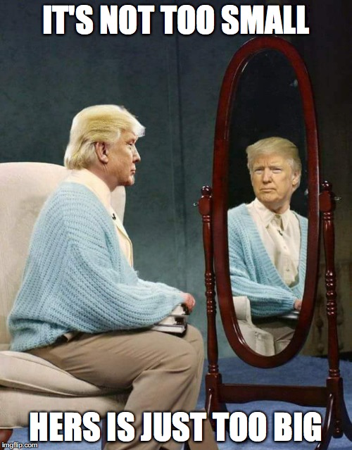  IT'S NOT TOO SMALL; HERS IS JUST TOO BIG | image tagged in trump,stuart smalley,snl,funny | made w/ Imgflip meme maker