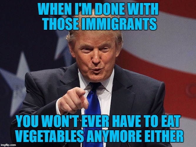 WHEN I'M DONE WITH THOSE IMMIGRANTS YOU WON'T EVER HAVE TO EAT VEGETABLES ANYMORE EITHER | made w/ Imgflip meme maker