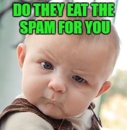 Skeptical Baby Meme | DO THEY EAT THE SPAM FOR YOU | image tagged in memes,skeptical baby | made w/ Imgflip meme maker