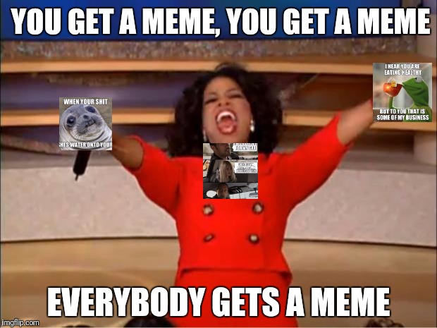 Oprah You Get A Meme | YOU GET A MEME, YOU GET A MEME; EVERYBODY GETS A MEME | image tagged in memes,oprah you get a | made w/ Imgflip meme maker
