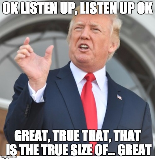 great true great | OK LISTEN UP, LISTEN UP OK; GREAT, TRUE THAT, THAT IS THE TRUE SIZE OF... GREAT | image tagged in true,true story,so true,donald trump approves,post-truth,size matters | made w/ Imgflip meme maker
