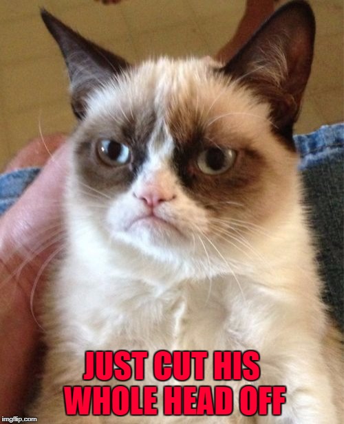 Grumpy Cat Meme | JUST CUT HIS WHOLE HEAD OFF | image tagged in memes,grumpy cat | made w/ Imgflip meme maker
