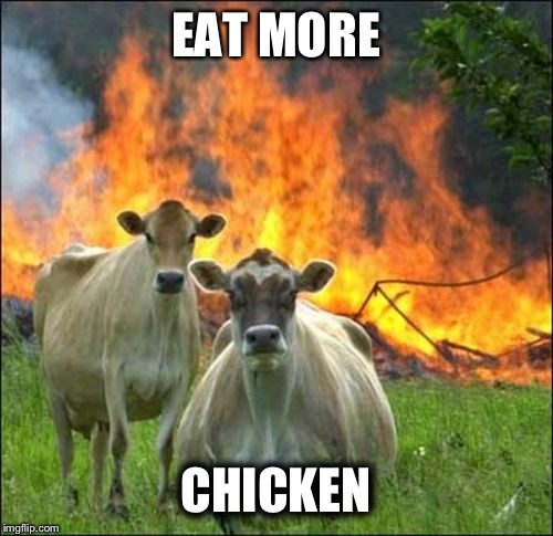 Evil Cows Meme | EAT MORE; CHICKEN | image tagged in memes,evil cows | made w/ Imgflip meme maker
