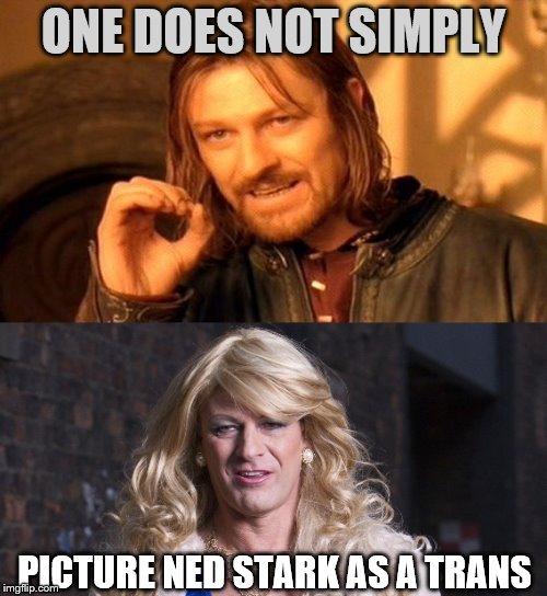 Nancy Stark | ONE DOES NOT SIMPLY; PICTURE NED STARK AS A TRANS | image tagged in memes,one does not simply,transgender,sean bean | made w/ Imgflip meme maker