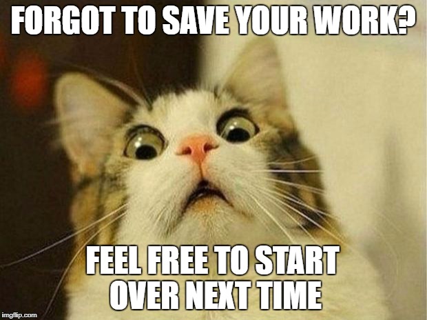 Scared Cat Meme | FORGOT TO SAVE YOUR WORK? FEEL FREE TO START OVER NEXT TIME | image tagged in memes,scared cat | made w/ Imgflip meme maker