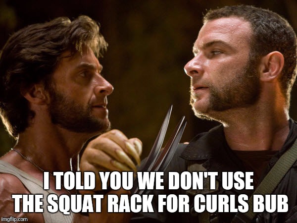 Wolverine Gainzzz  | I TOLD YOU WE DON'T USE THE SQUAT RACK FOR CURLS BUB | image tagged in gym,wolverine,memes,comedy | made w/ Imgflip meme maker