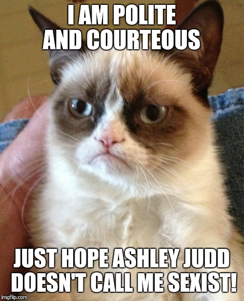 Grumpy Cat Meme | I AM POLITE AND COURTEOUS; JUST HOPE ASHLEY JUDD DOESN'T CALL ME SEXIST! | image tagged in memes,grumpy cat | made w/ Imgflip meme maker