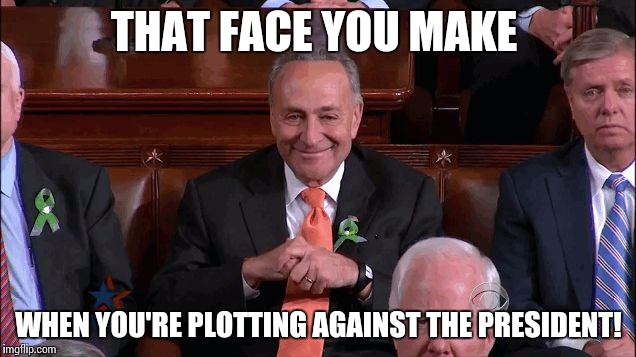 Chuck Schumer Creepy | THAT FACE YOU MAKE; WHEN YOU'RE PLOTTING AGAINST THE PRESIDENT! | image tagged in chuck schumer creepy | made w/ Imgflip meme maker