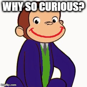 The Curious Joker | WHY SO CURIOUS? | image tagged in joker,batman,the dark knight,curious,george | made w/ Imgflip meme maker