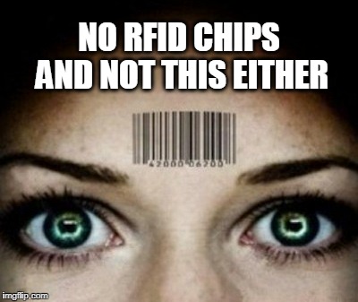 Ain't stickin' no chip in me! | NO RFID CHIPS AND NOT THIS EITHER | image tagged in big brother,end times,oh god no | made w/ Imgflip meme maker