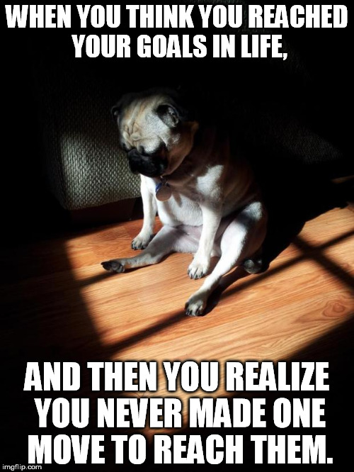 Depressed Pug | WHEN YOU THINK YOU REACHED YOUR GOALS IN LIFE, AND THEN YOU REALIZE YOU NEVER MADE ONE MOVE TO REACH THEM. | image tagged in depressed pug,funny,dog,memes | made w/ Imgflip meme maker
