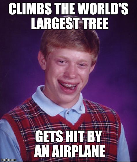 Bad Luck Brian | CLIMBS THE WORLD'S LARGEST TREE; GETS HIT BY AN AIRPLANE | image tagged in memes,bad luck brian | made w/ Imgflip meme maker