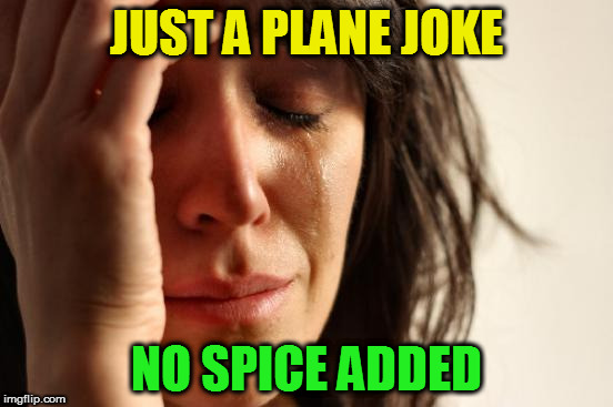 First World Problems Meme | JUST A PLANE JOKE NO SPICE ADDED | image tagged in memes,first world problems | made w/ Imgflip meme maker