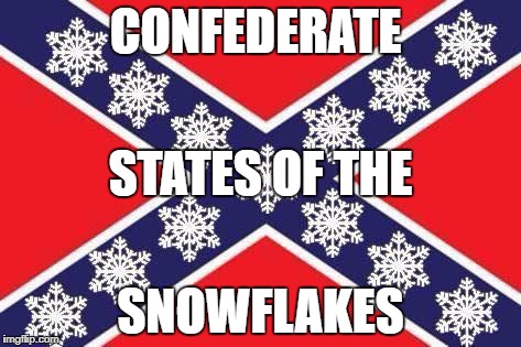 MY OPINION | CONFEDERATE; STATES OF THE; SNOWFLAKES | image tagged in dma | made w/ Imgflip meme maker