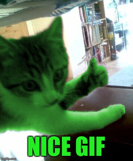 thumbs up RayCat | NICE GIF | image tagged in thumbs up raycat | made w/ Imgflip meme maker