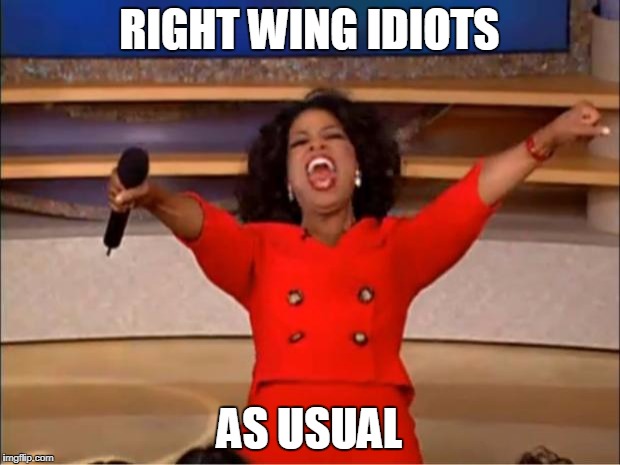 Oprah You Get A | RIGHT WING IDIOTS; AS USUAL | image tagged in memes,oprah you get a | made w/ Imgflip meme maker