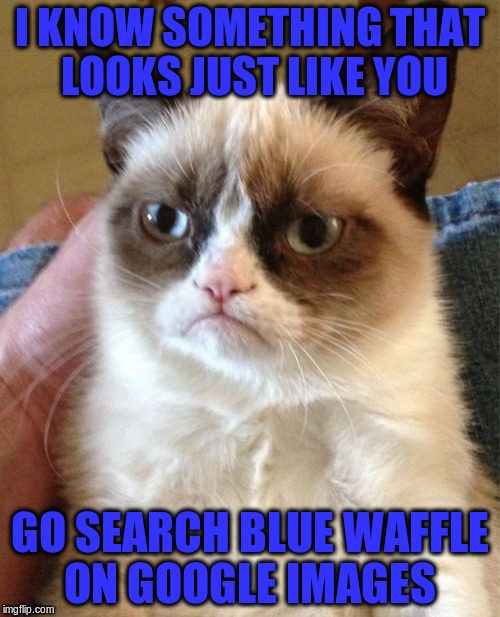 Do Not Look It Up... | I KNOW SOMETHING THAT LOOKS JUST LIKE YOU; GO SEARCH BLUE WAFFLE ON GOOGLE IMAGES | image tagged in memes,grumpy cat | made w/ Imgflip meme maker