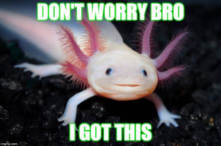 Don't Worry Bro I Got This | DON'T WORRY BRO; I GOT THIS | image tagged in memes,don't worry bro,i got this | made w/ Imgflip meme maker
