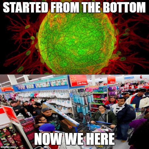 Started From The Bottom | STARTED FROM THE BOTTOM; NOW WE HERE | image tagged in drake,walmart,shoprite,dollar store,humanity,humans | made w/ Imgflip meme maker