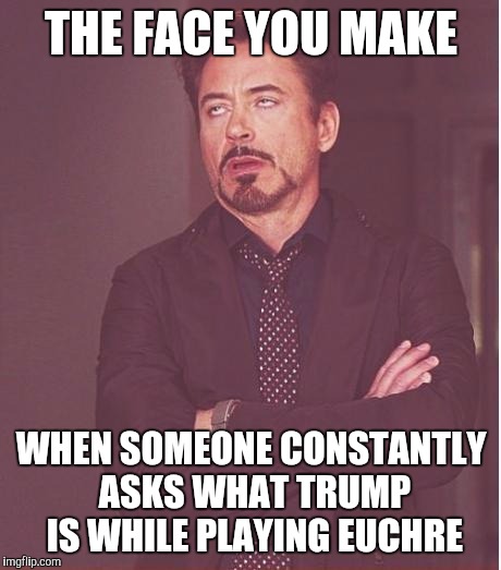 Face You Make Robert Downey Jr | THE FACE YOU MAKE; WHEN SOMEONE CONSTANTLY ASKS WHAT TRUMP IS WHILE PLAYING EUCHRE | image tagged in memes,face you make robert downey jr | made w/ Imgflip meme maker