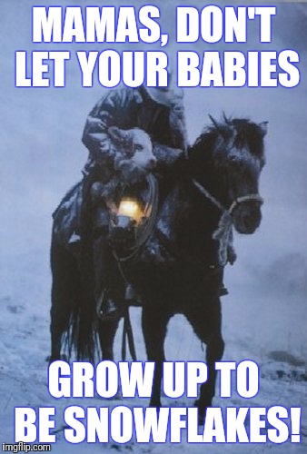 Cowboy in snowstorm | MAMAS, DON'T LET YOUR BABIES; GROW UP TO BE SNOWFLAKES! | image tagged in snowflakes | made w/ Imgflip meme maker