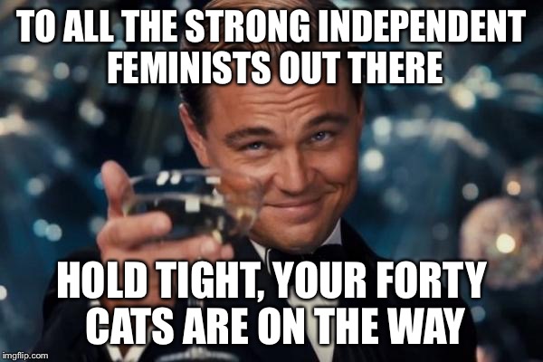 Leonardo Dicaprio Cheers Meme | TO ALL THE STRONG INDEPENDENT FEMINISTS OUT THERE; HOLD TIGHT, YOUR FORTY CATS ARE ON THE WAY | image tagged in memes,leonardo dicaprio cheers | made w/ Imgflip meme maker