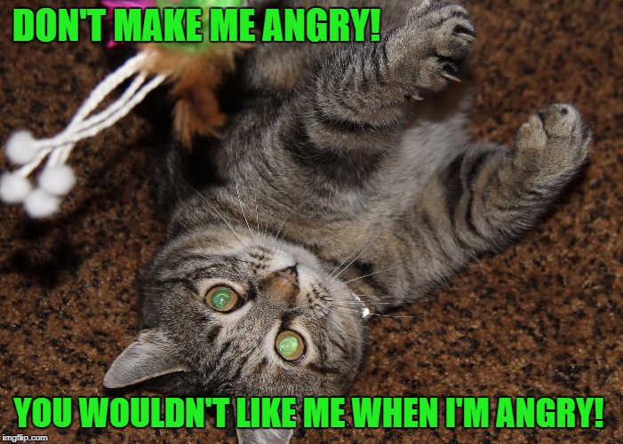 DON'T MAKE ME ANGRY! YOU WOULDN'T LIKE ME WHEN I'M ANGRY! | image tagged in incredible hulk,bruce banner,cats,kitty | made w/ Imgflip meme maker