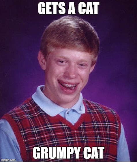 Brian Gets a cat | GETS A CAT; GRUMPY CAT | image tagged in memes,bad luck brian | made w/ Imgflip meme maker