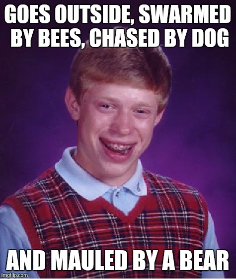 Bad Luck Brian Meme | GOES OUTSIDE, SWARMED BY BEES, CHASED BY DOG AND MAULED BY A BEAR | image tagged in memes,bad luck brian | made w/ Imgflip meme maker