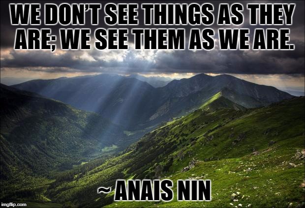 nature | WE DON’T SEE THINGS AS THEY ARE; WE SEE THEM AS WE ARE. ~ ANAIS NIN | image tagged in nature | made w/ Imgflip meme maker