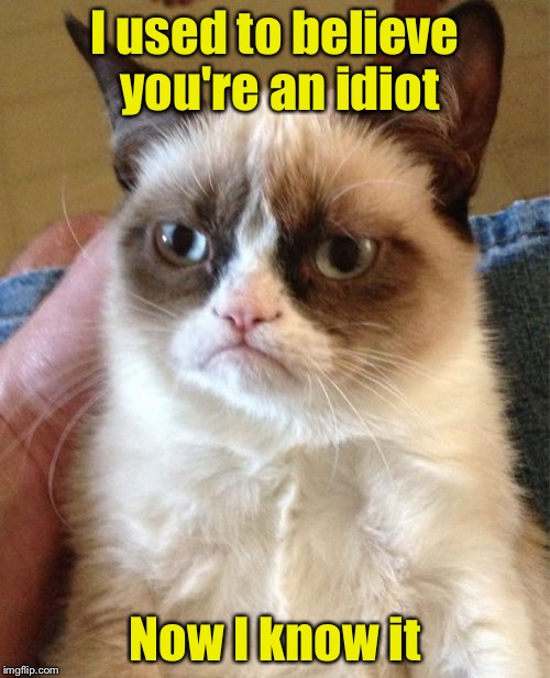 Grumpy Cat Meme | I used to believe you're an idiot; Now I know it | image tagged in memes,grumpy cat | made w/ Imgflip meme maker