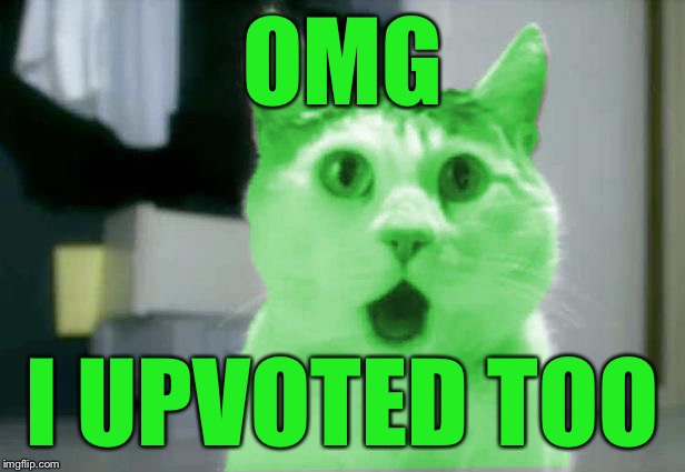 OMG RayCat | OMG I UPVOTED TOO | image tagged in omg raycat | made w/ Imgflip meme maker