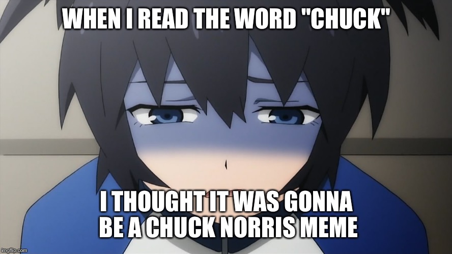 Ashamed anime girl | WHEN I READ THE WORD "CHUCK" I THOUGHT IT WAS GONNA BE A CHUCK NORRIS MEME | image tagged in ashamed anime girl | made w/ Imgflip meme maker