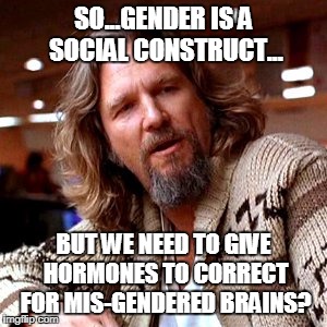 Far out, man | SO...GENDER IS A SOCIAL CONSTRUCT... BUT WE NEED TO GIVE HORMONES TO CORRECT FOR MIS-GENDERED BRAINS? | image tagged in memes,confused lebowski,gender confusion,gender identity,transgender,funny memes | made w/ Imgflip meme maker