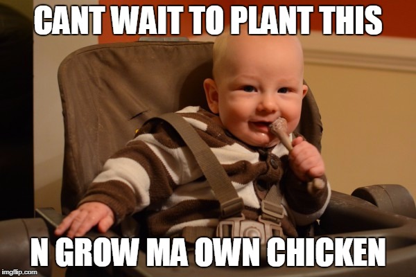 baby bone | CANT WAIT TO PLANT THIS; N GROW MA OWN CHICKEN | image tagged in baby,chicken,kfc,friedchicken,food,kentucky | made w/ Imgflip meme maker