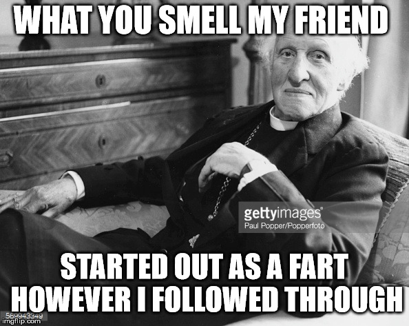 WHAT YOU SMELL MY FRIEND STARTED OUT AS A FART HOWEVER I FOLLOWED THROUGH | made w/ Imgflip meme maker