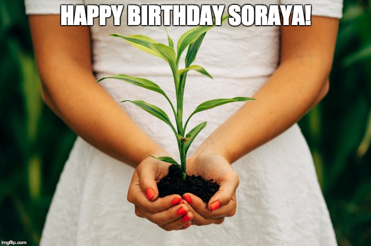 Happy Birthday Soraya! | HAPPY BIRTHDAY SORAYA! | image tagged in happy birthday,soraya,green thumb,gardening,plants,nature | made w/ Imgflip meme maker