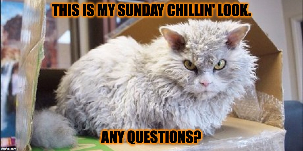 Pompous Albert on Sundays | THIS IS MY SUNDAY CHILLIN' LOOK. ANY QUESTIONS? | image tagged in pompous albert chillin' | made w/ Imgflip meme maker