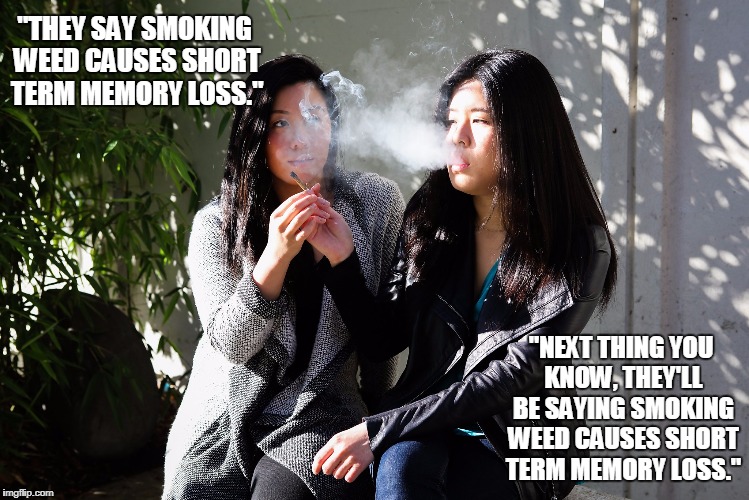"THEY SAY SMOKING WEED CAUSES SHORT TERM MEMORY LOSS."; "NEXT THING YOU KNOW, THEY'LL BE SAYING SMOKING WEED CAUSES SHORT TERM MEMORY LOSS." | image tagged in weed | made w/ Imgflip meme maker