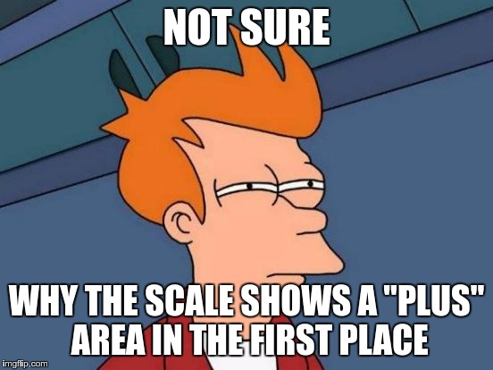 Futurama Fry Meme | NOT SURE WHY THE SCALE SHOWS A "PLUS" AREA IN THE FIRST PLACE | image tagged in memes,futurama fry | made w/ Imgflip meme maker