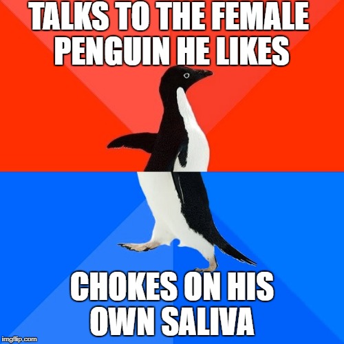 Socially Awesome Awkward Penguin Meme | TALKS TO THE FEMALE PENGUIN HE LIKES; CHOKES ON HIS OWN SALIVA | image tagged in memes,socially awesome awkward penguin | made w/ Imgflip meme maker