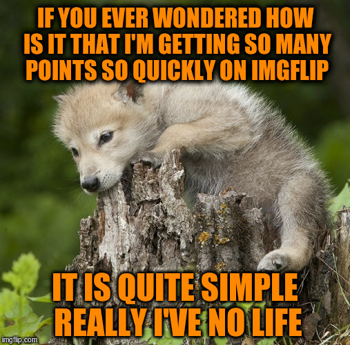 Confession Pup | IF YOU EVER WONDERED HOW IS IT THAT I'M GETTING SO MANY POINTS SO QUICKLY ON IMGFLIP; IT IS QUITE SIMPLE REALLY I'VE NO LIFE | image tagged in confession pup,memes,funny,imgflip | made w/ Imgflip meme maker