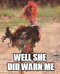 the rooster | WELL SHE DID WARN ME | image tagged in the rooster | made w/ Imgflip meme maker